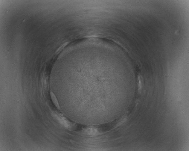 X0000081410276200701121217