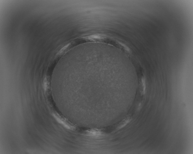 X0000081410284200701121217