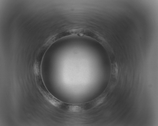 X0000081410287200701121217