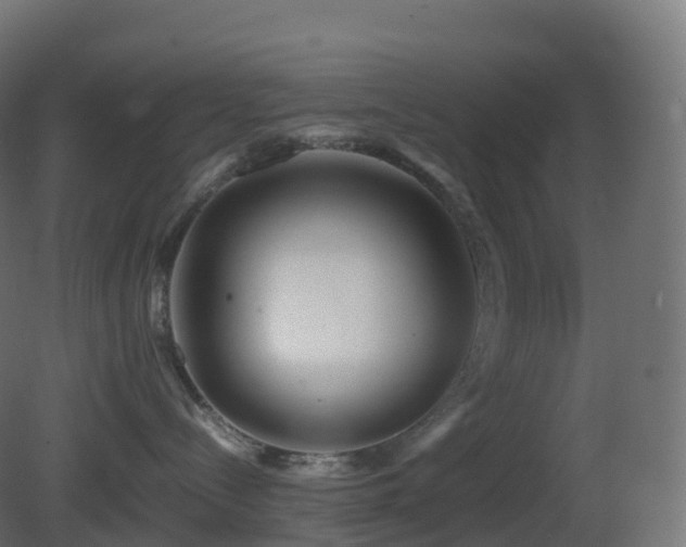 X0000081410288200701121217