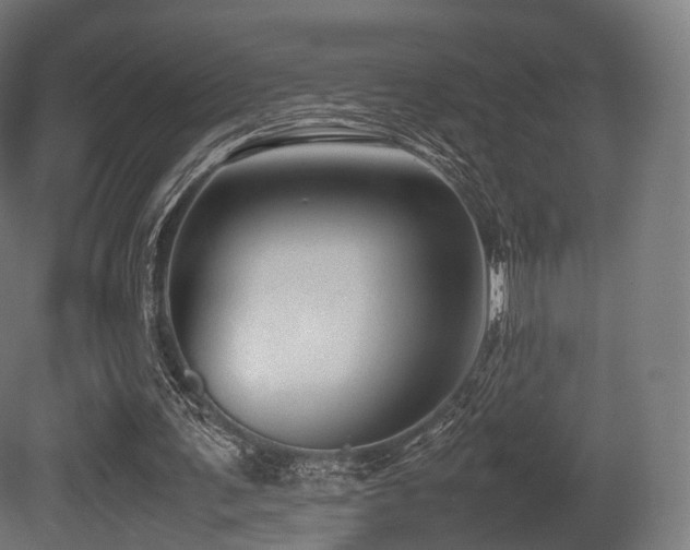 X0000081410291200701121216