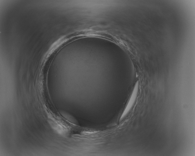 X0000081410295200701121216