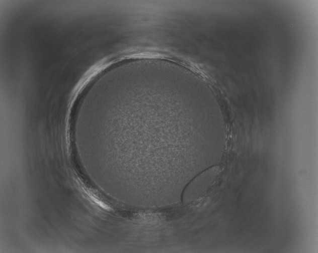 X0000081410296200701121216