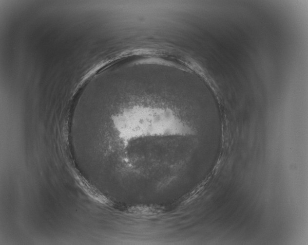 X0000081410297200701121216