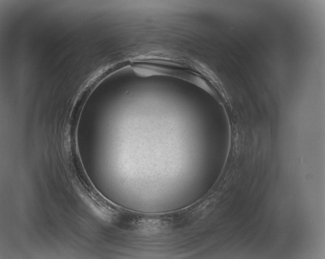 X0000081410298200701121216