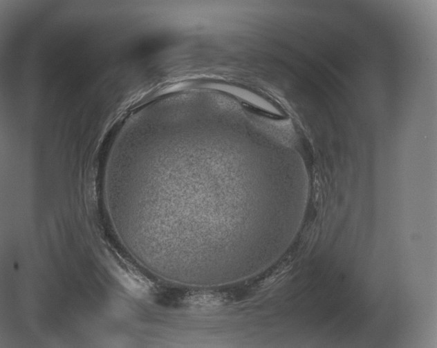 X0000081410299200701121216