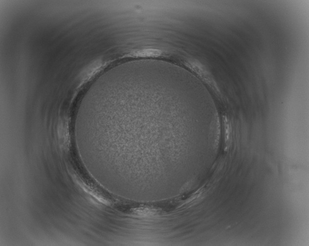 X0000081410300200701121216