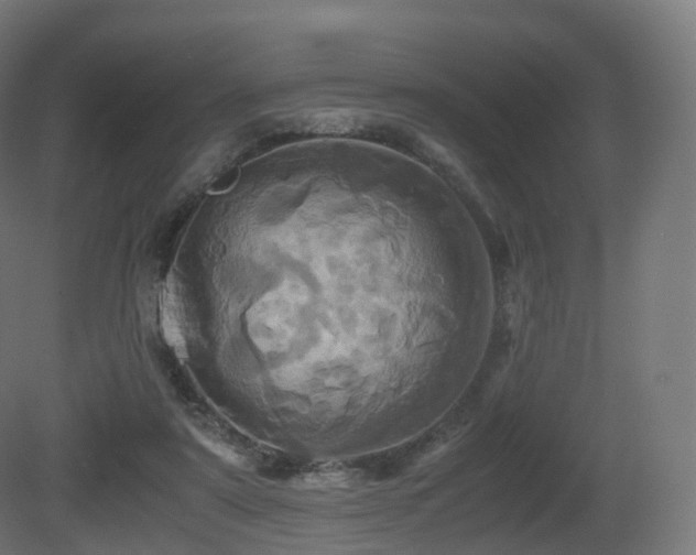 X0000081410307200701121216