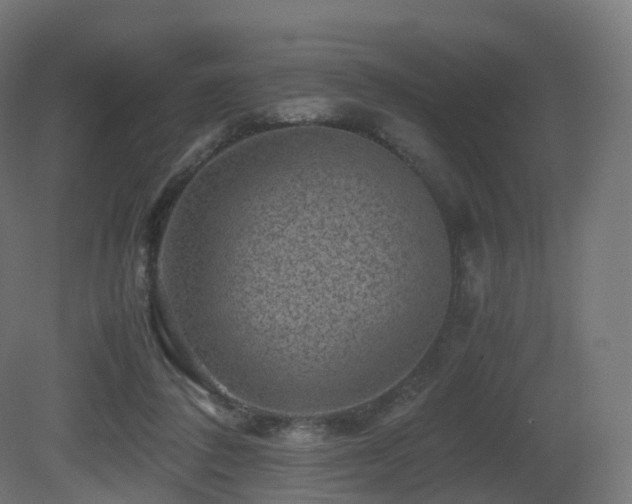 X0000081410308200701121216