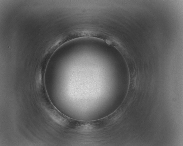 X0000081410310200701121216