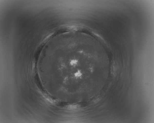 X0000081410314200701121216