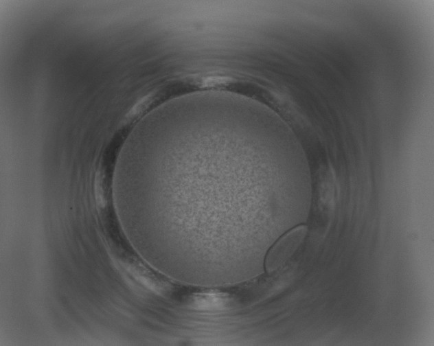 X0000081410316200701121216
