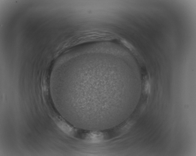 X0000081410317200701121216