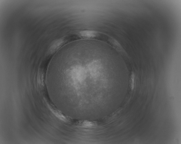 X0000081410330200701121216