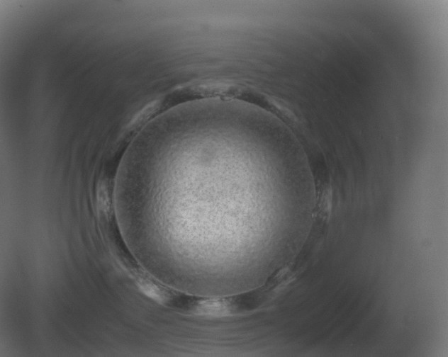 X0000081410335200701121216
