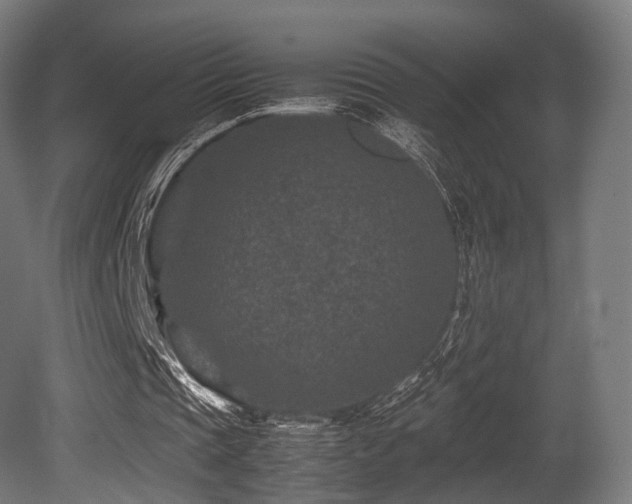 X0000081410337200701121215