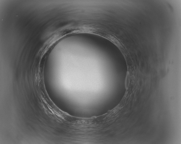 X0000081410338200701121215