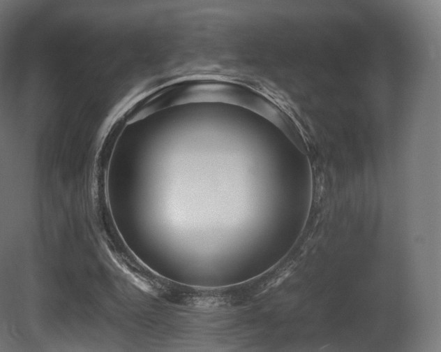 X0000081410344200701121215