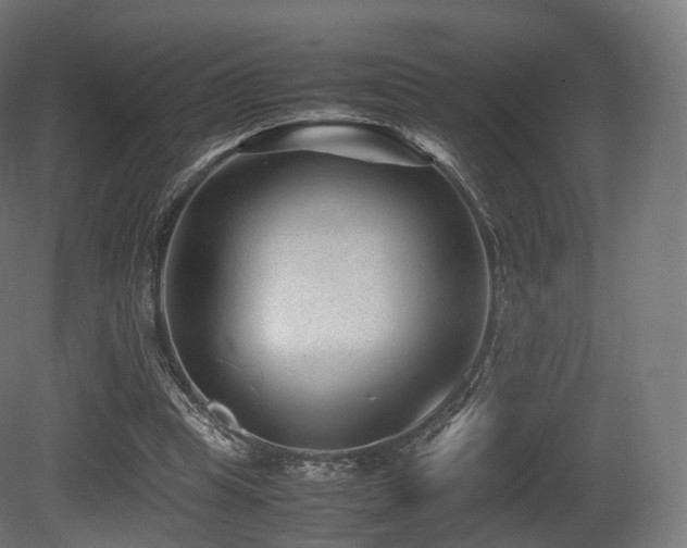 X0000081410345200701121215