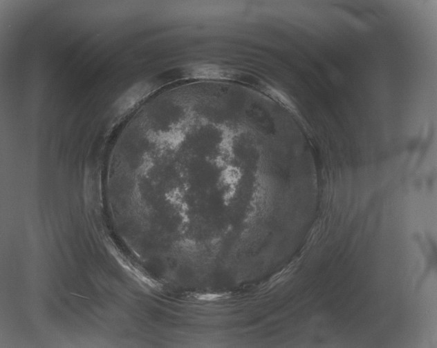 X0000081410349200701121215