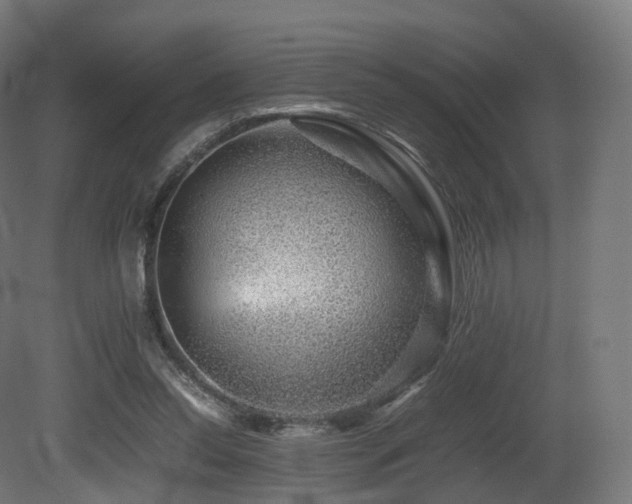 X0000081410350200701121215