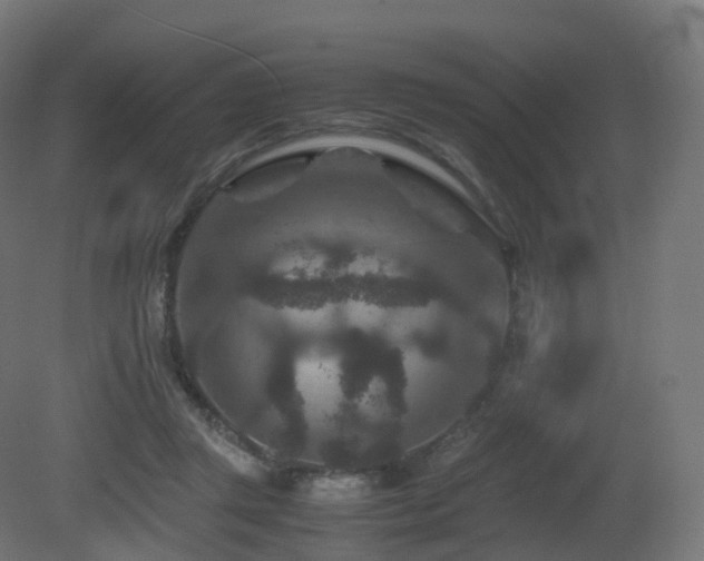 X0000081410357200701121215