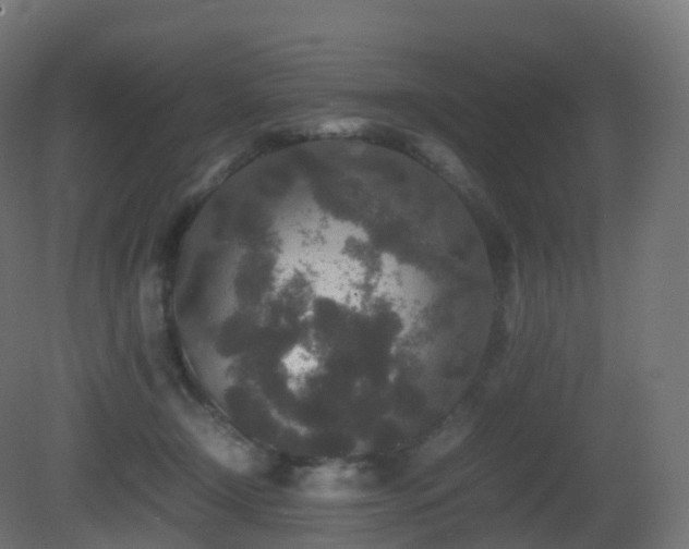 X0000081410366200701121215