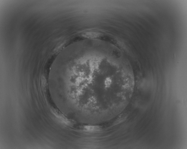 X0000081410371200701121215
