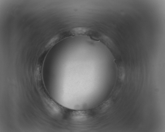 X0000081410378200701121215