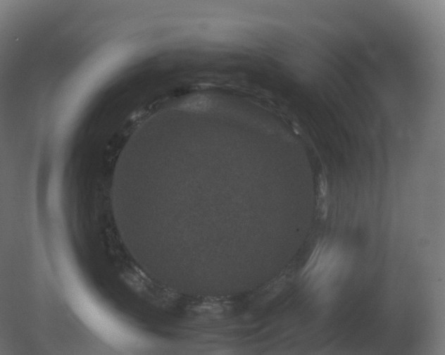 X0000081410383200701121215