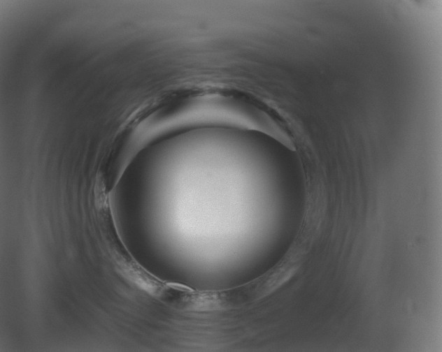 X0000081410384200701121216