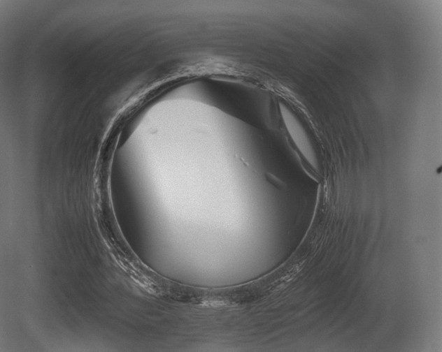 X0000081410388200701121215