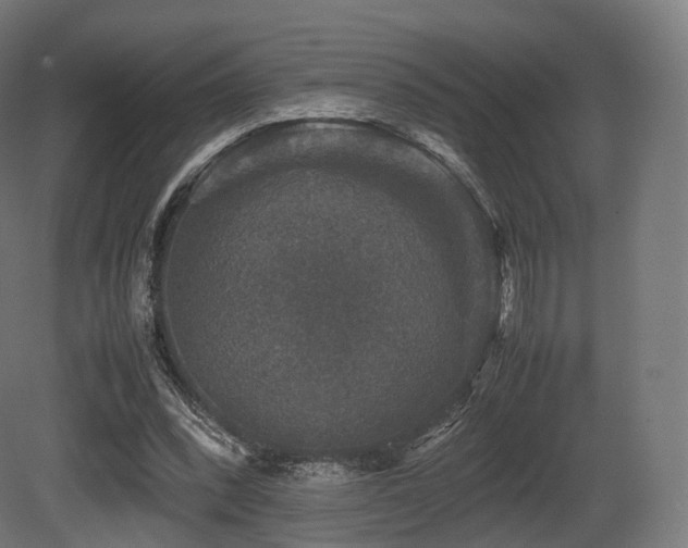 X0000081410392200701121215