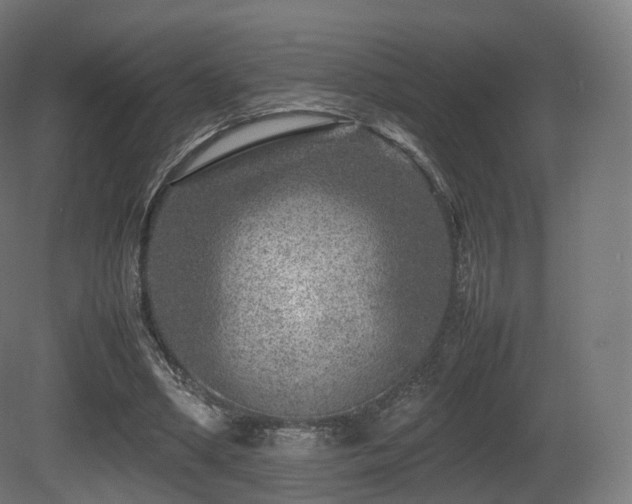X0000081410394200701121215