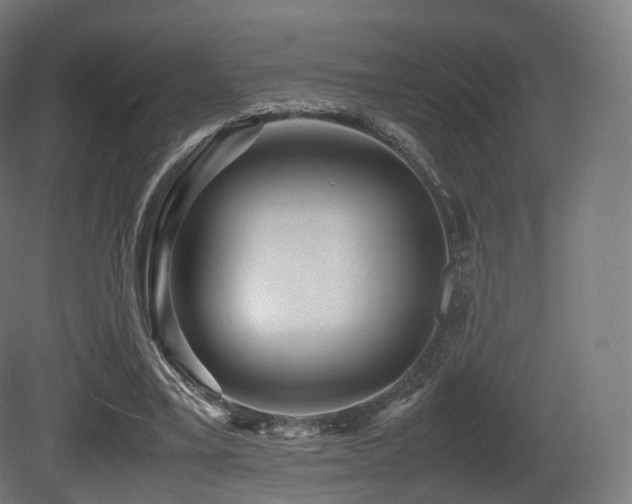 X0000081410395200701121215