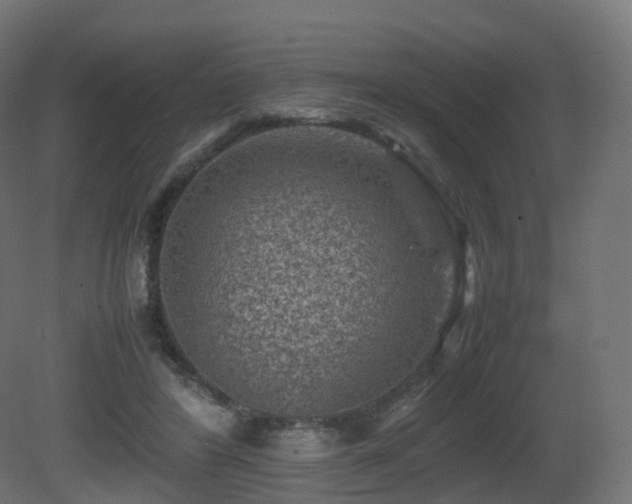 X0000081410404200701121214