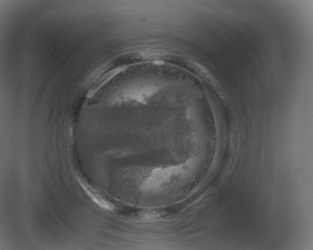 X0000081410405200701121214