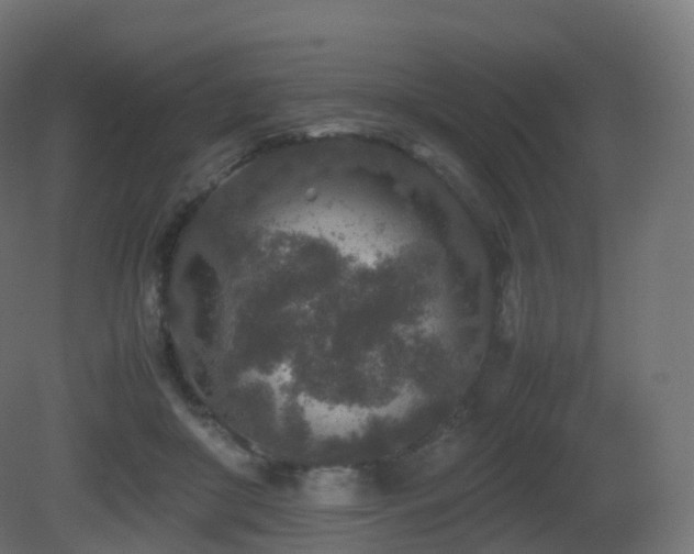 X0000081410410200701121214