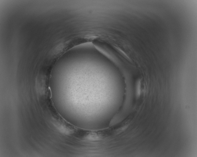 X0000081410416200701121214