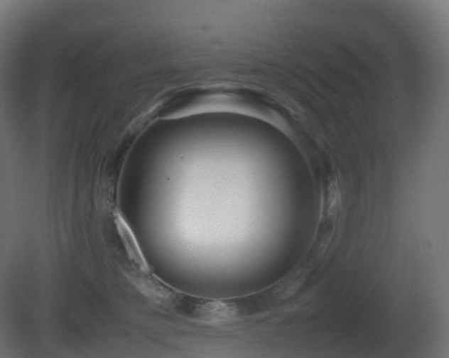 X0000081410421200701121214