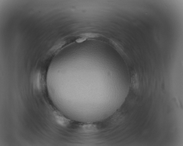 X0000081410426200701121214