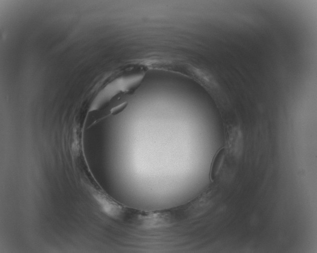 X0000081410430200701121214