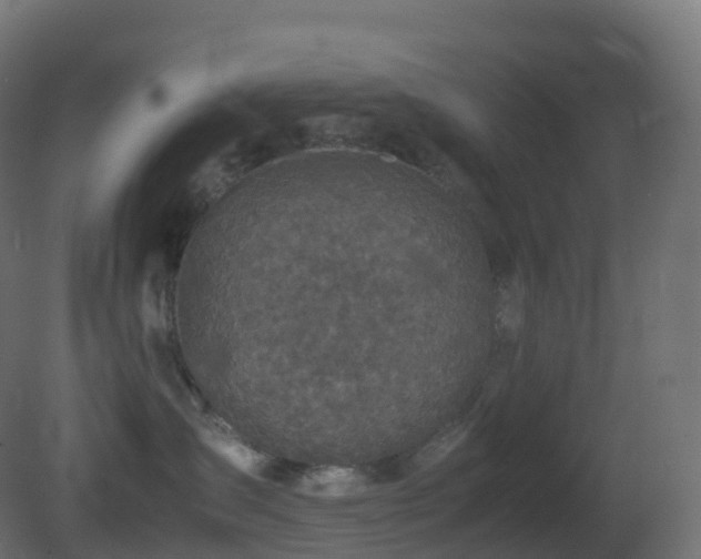 X0000081410431200701121214