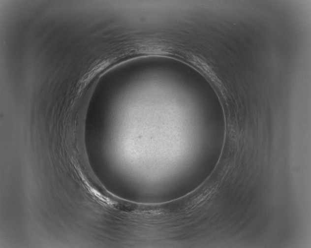 X0000081410433200701121213