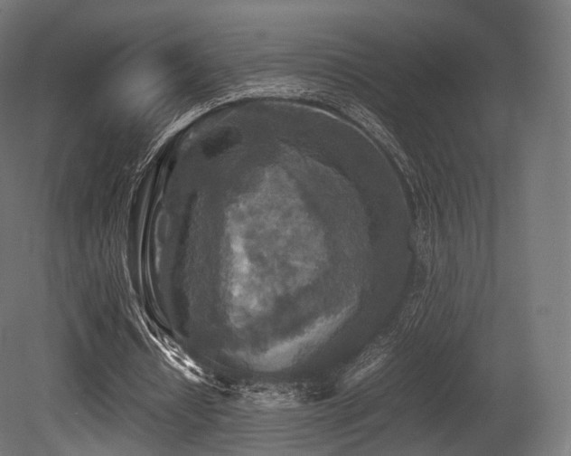 X0000081410434200701121213