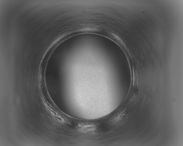 X0000081410435200701121213