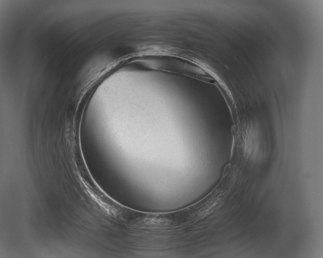 X0000081410437200701121213