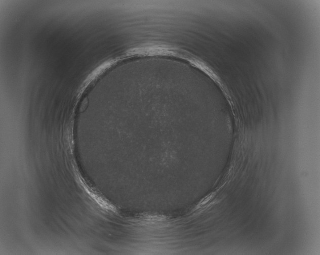 X0000081410438200701121213