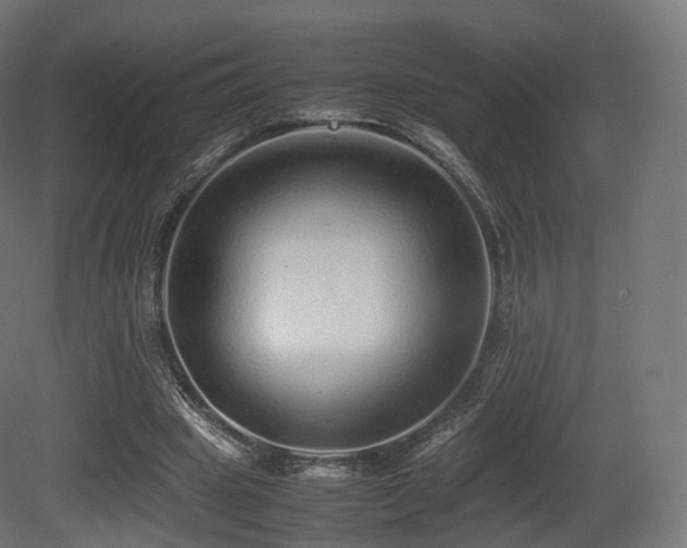 X0000081410441200701121213