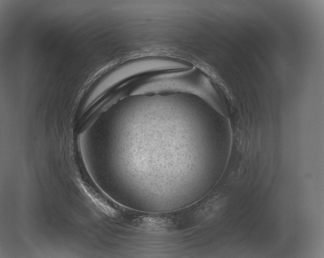 X0000081410442200701121213
